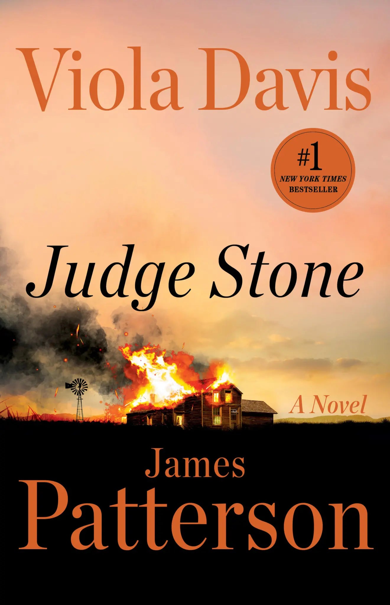 Judge Stone by Viola Davis and James Patterson